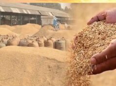 मुख्यमंत्री ने अधिकारियों को उपार्जन केन्द्रों में किसानों को आवश्यक सुविधाएं उपलब्ध कराने के निर्देश दिए