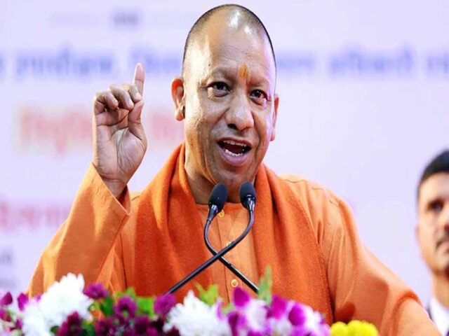 yogi1-16.jpg