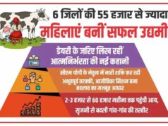 महिला सशक्तिकरण की नई उड़ान: 6 जिलों की 55 हजार+ महिलाओं ने शुरू किया सफल कारोबार