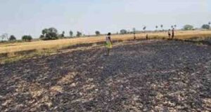 धानापुर के किसानों की मेहनत स्वाहा, अब प्रशासन से उचित मुआवजे की मांग