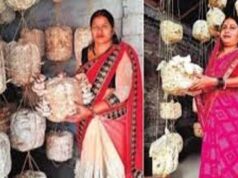 भदोही की पप्पू देवी ने मशरूम उत्पादन से खड़ी की 10 लाख सालाना कमाई