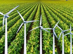 मध्यप्रदेश में 23634 पंचायतों और 444 तहसीलों में विंड सिस्टम, सरकार को हर 15 मिनट में मिलेगी मौसम अपडेट