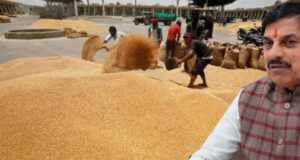 समर्थन मूल्य पर गेहूं उपार्जन का लक्ष्य बढ़ाने के लिए भारत सरकार से चर्चा जारी: मुख्यमंत्री डॉ. यादव