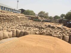 मध्यम और बड़े कृषकों के लिए गेहूं विक्रय की सुविधा: स्लॉट बुकिंग प्रणाली की शुरुआत