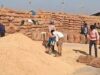 किसानों को मिली बड़ी राहत, गेहूं उपार्जन की तारीख बढ़ाई गई, नया अपडेट जानें