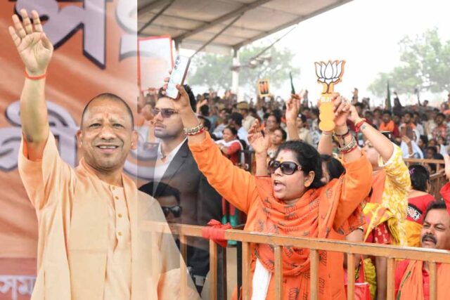 cm_yogi_wb.jpg