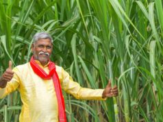 गन्ना किसानों को 3 लाख 15 हजार करोड़ रुपये का रिकॉर्ड भुगतान मिला योगी सरकार में: सूर्य प्रताप शाही