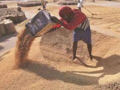 मुख्यमंत्री ने गेहूं खरीद में किसानों को दी महत्वपूर्ण राहत