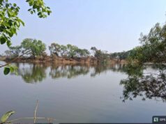 भीषण गर्मी में बड़ी राहत: नहरों के पानी से 4755 सूखे तालाब हुए लबालब
