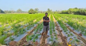 संघर्ष से सफलता तक! नक्सल मुक्त क्षेत्र में आधुनिक खेती से गोपाल एर्रागोला ने बदली किस्मत