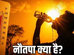 क्या नौतपा बना भीषण गर्मी की वजह? समझिए आखिर क्यों तप रही है धरती