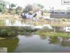 जल गंगा संवर्धन अभियान: जनसहभागिता से गोचा नदी के स्टॉप डैम की तस्वीर हुई बदल