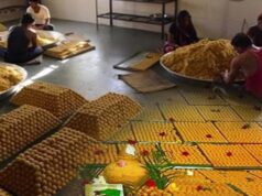 महाकाल मंदिर का लड्डू अब बनेगा हाईटेक मशीन से, 40 करोड़ का टेंडर जारी, गड़बड़ी पर लगेगा 50 लाख तक जुर्माना