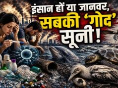 साइलेंट फर्टिलिटी क्राइसिस की चेतावनी: न इंसान, न जानवर, वैज्ञानिकों ने कहा – नस्ल बचाना मुश्किल