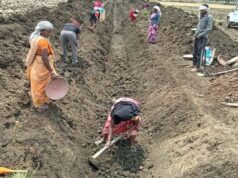 जल गंगा संवर्धन अभियान: पुष्पराजगढ़ में नहरों को मजबूती देने का प्रयास