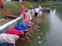 मोर गांव–मोर पानी अभियान से मोहला-मानपुर-अम्बागढ़ चौकी में जल संरक्षण हुआ सफल, बना मॉडल जिला