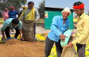 धमतरी ने बनाया रिकॉर्ड: प्रदेश के कुल चने का 50% अकेले खरीदा, विश्व की सबसे बड़ी भंडारण योजना में नाम दर्ज