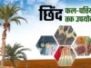 रायपुर: छिंद के बीजों से तैयार हर्बल कॉफी, बस्तर की वैश्विक पहचान बनी