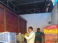 सावधान! बाजार में बिक रहे थे केमिकल वाले फल, छापेमारी में भारी मात्रा में केले जब्त