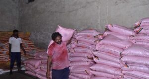 जिले में कुल 41509 मीट्रिक टन खाद उपलब्ध, विगत वर्ष की तुलना में 34 प्रतिशत अधिक