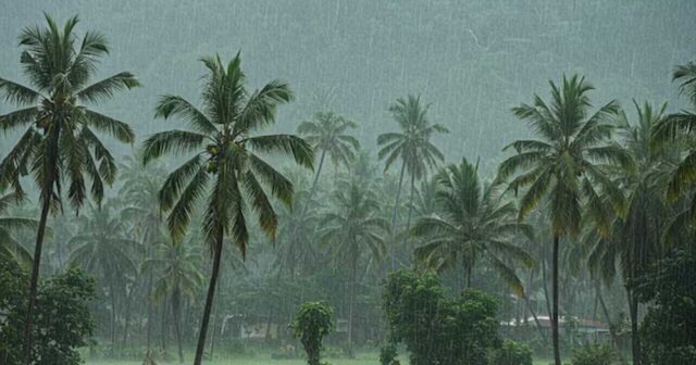 Mansoon-2.jpg