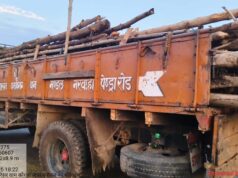 वन विभाग की सख्ती: गौरेला क्षेत्र में अवैध सागौन कटाई पर कार्रवाई