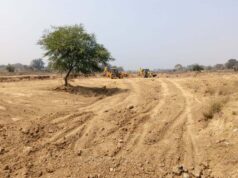 कम समय में शहर को मिलेगी सघन हरियाली