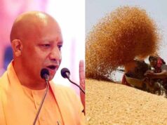 प्रदेश में गेहूं खरीद ने पकड़ी रफ्तार, 28 अप्रैल तक 6.10 लाख मीट्रिक टन गेहूं की खरीद
