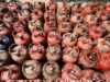 LPG कनेक्शन बचाने के लिए जरूरी, सरकार का नया नियम लागू; जानें क्या करना होगा