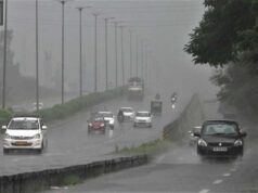 एमपी में 17 जिलों में बारिश और ओले का खतरा, भोपाल में आंधी से पेड़ गिरे; 4 मई तक जारी रहेगा मौसम का असर