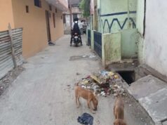 कहीं ढांचे तो कहीं कब्जे: नाले-नालियों की सफाई में आ रहीं कई अड़चनें