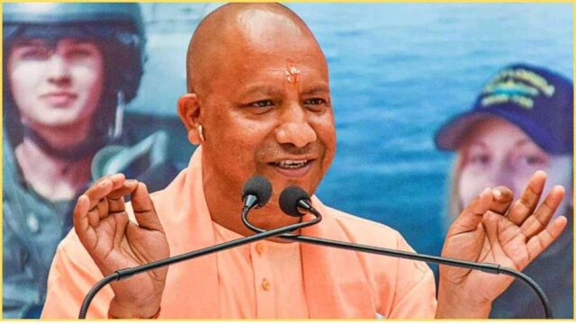 yogi111-2.jpg