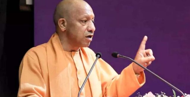 yogi_2_27_1-10.jpg