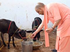 गांव-गांव बदल रही तस्वीर! गौ संरक्षण के जरिए योगी सरकार बढ़ा रही किसानों की आमदनी
